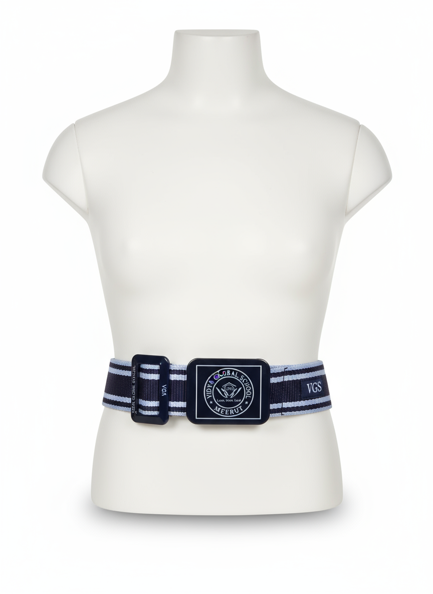 VGS Belt